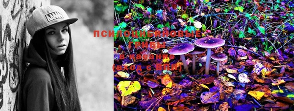 марки lsd Карталы